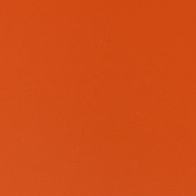 RAL2004